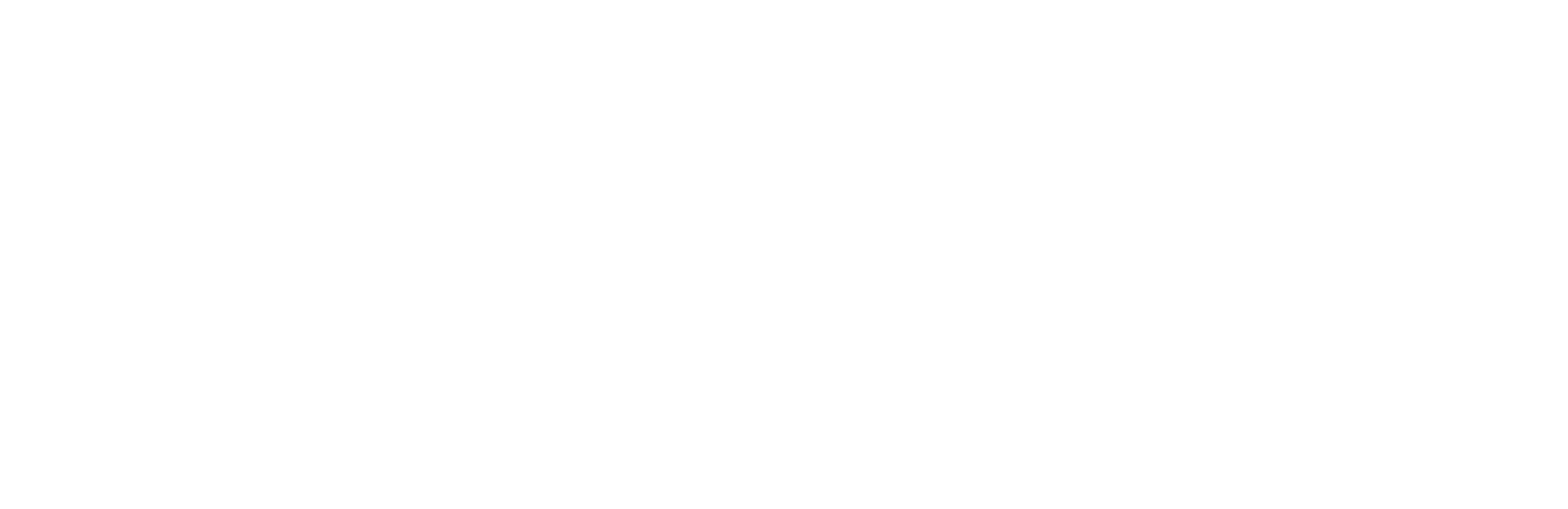 King's Camo