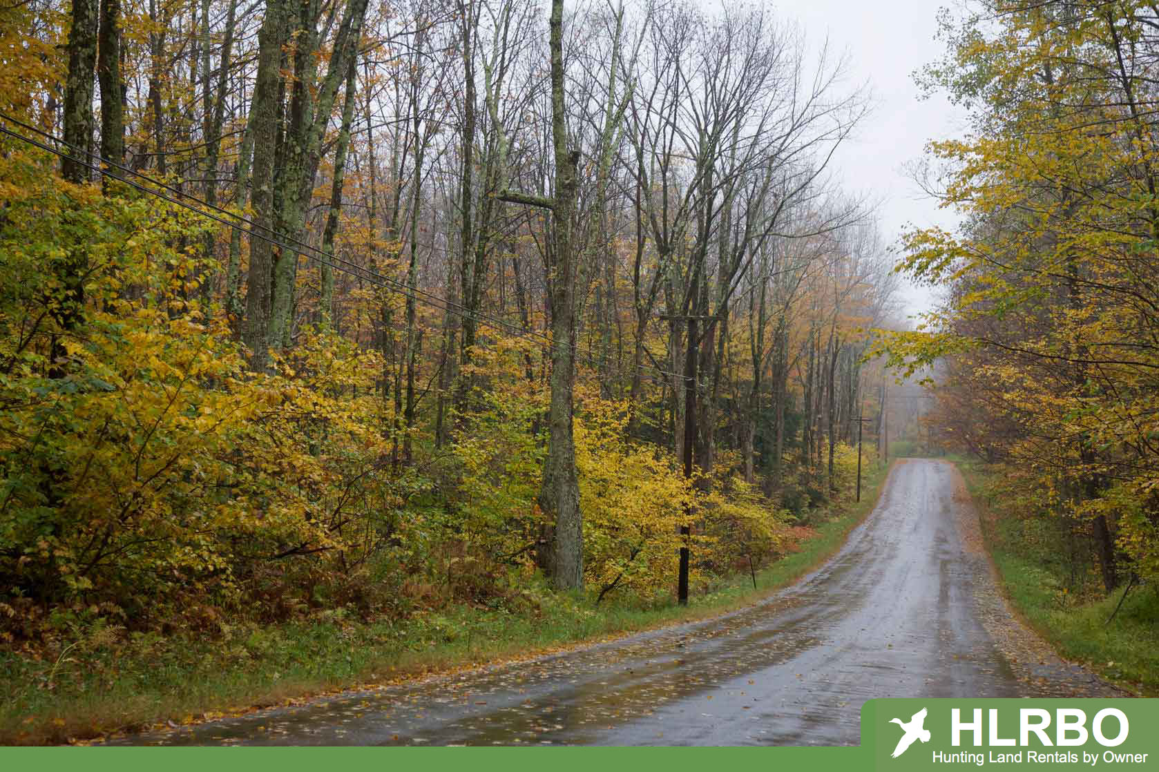 HLRBO Hunting Leases in Alabama: Explore Top Leases & Locations