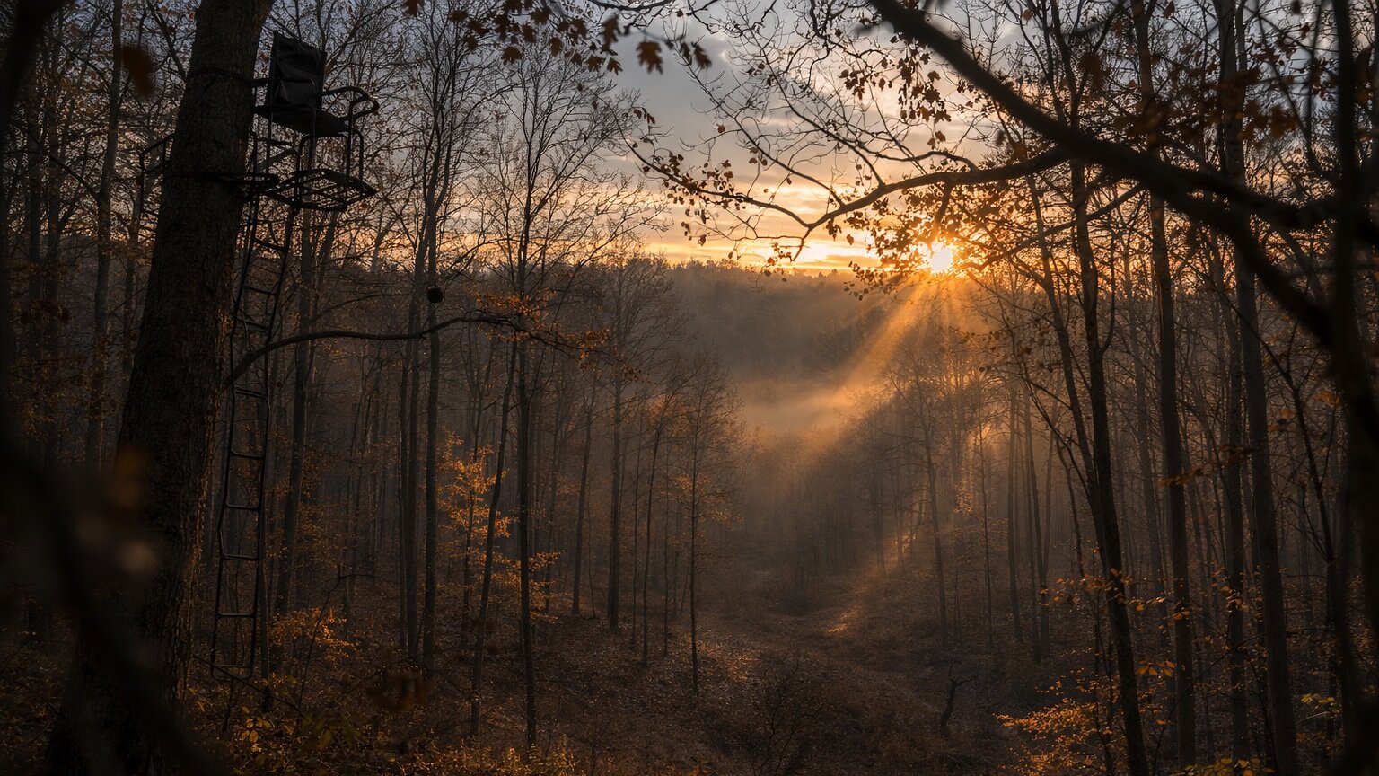 Hunting land at sunrise