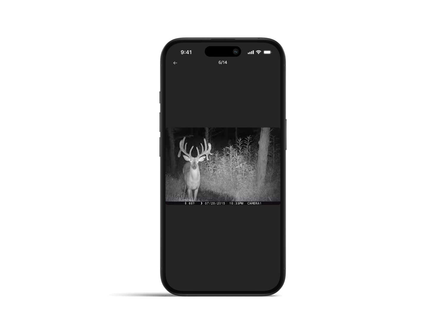 Trail Cam Ready