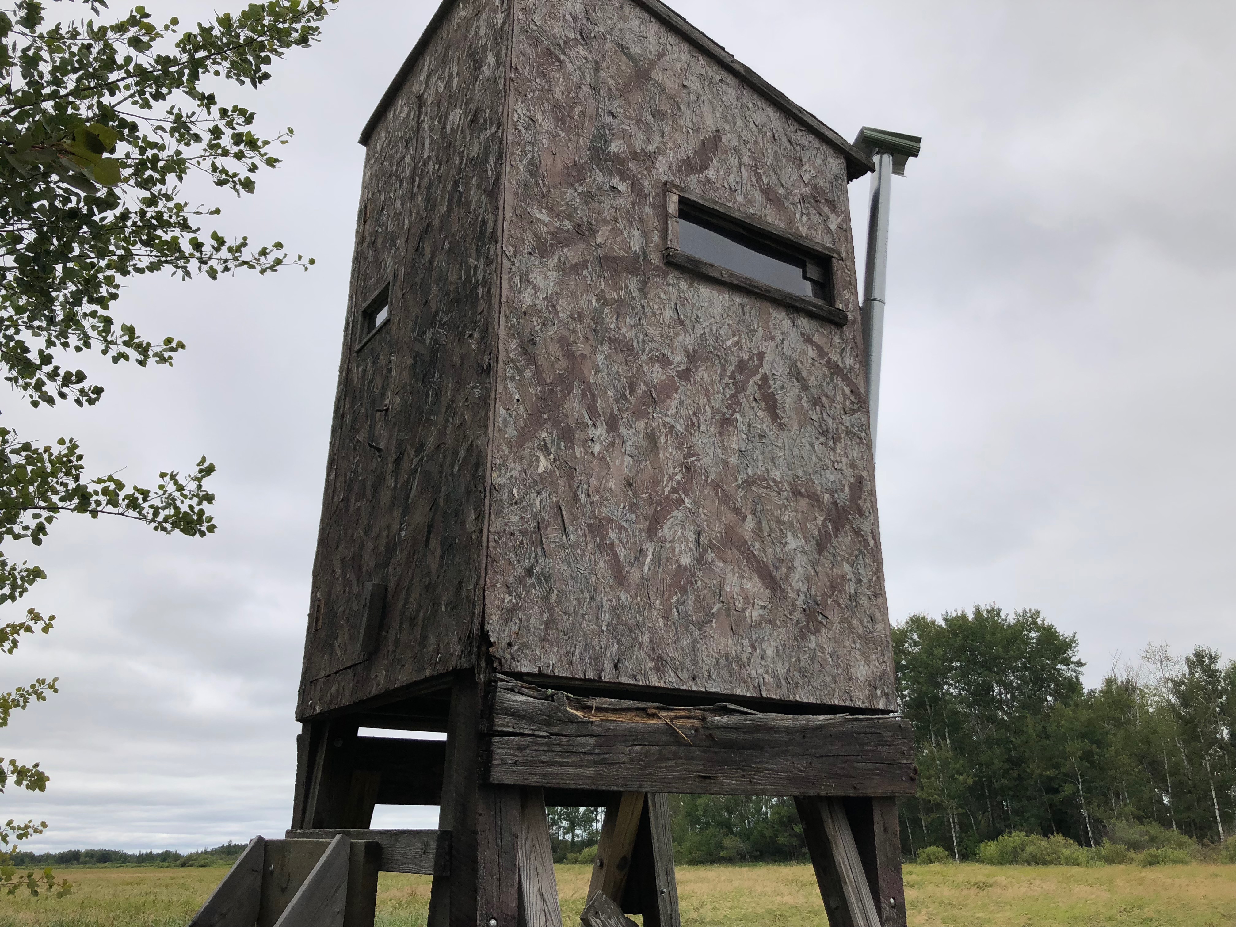 HLRBO - Wadena,Minnesota Hunting Lease $1,000.00 Per Year