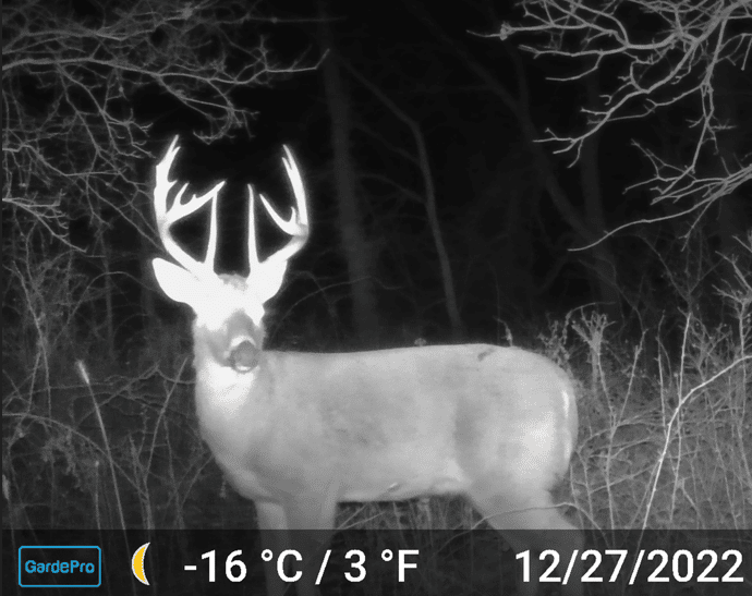 HLRBO Hunting Lease 175 acres in Wayne County,Iowa