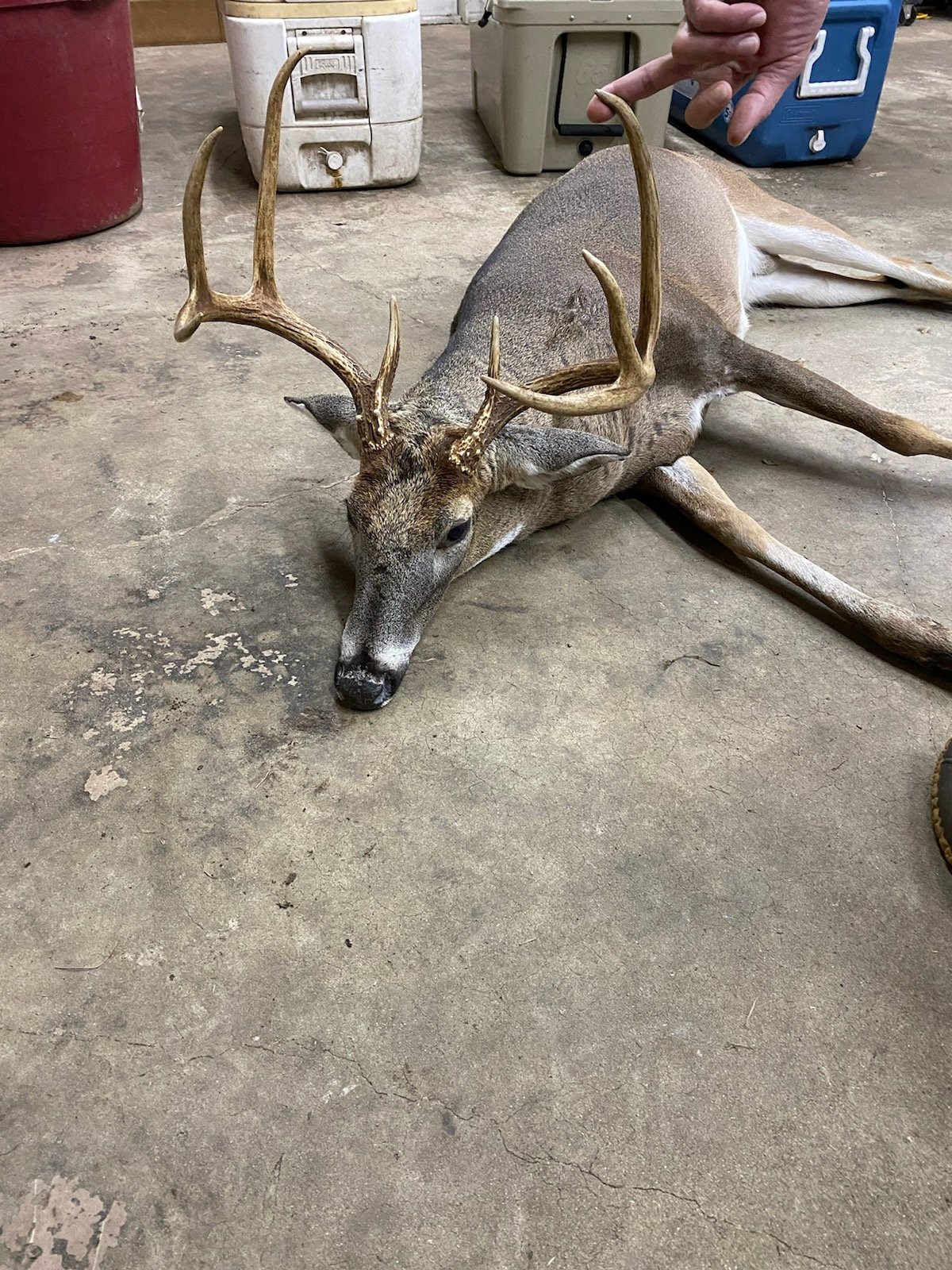 HLRBO Hunting Lease 4,000.00 Per Person