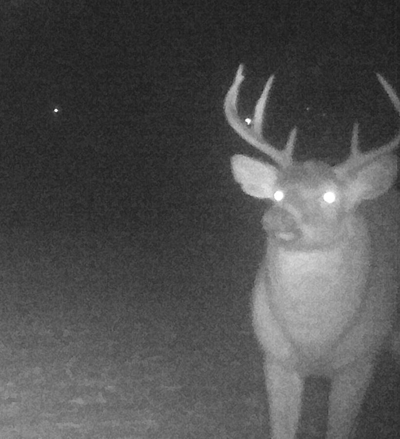 HLRBO Hunting Lease 70 acres in Dubuque County,Iowa