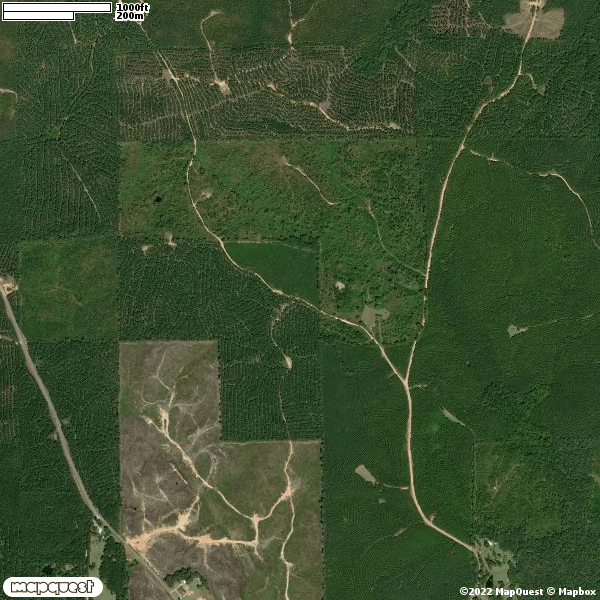 HLRBO Hunting Lease 130 acres in Kemper County,Mississippi
