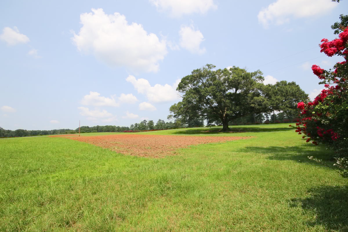 HLRBO Hunting Lease 4200 acres in Lee County,Alabama