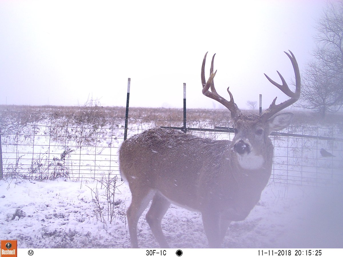 HLRBO Hunting Lease 10500 acres in Greenwood County,Kansas