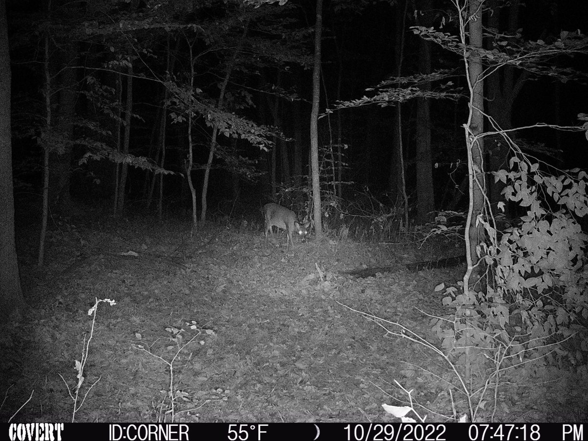 HLRBO Orange Indiana Hunting Lease 0 00 Per Year hlrbo-orange-indiana-hunting-lease-0-00-per-year