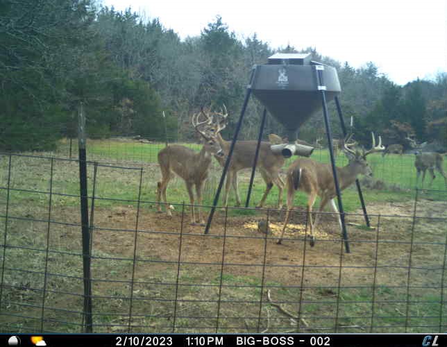 HLRBO Hunting Lease 256 acres in Grayson County,Texas