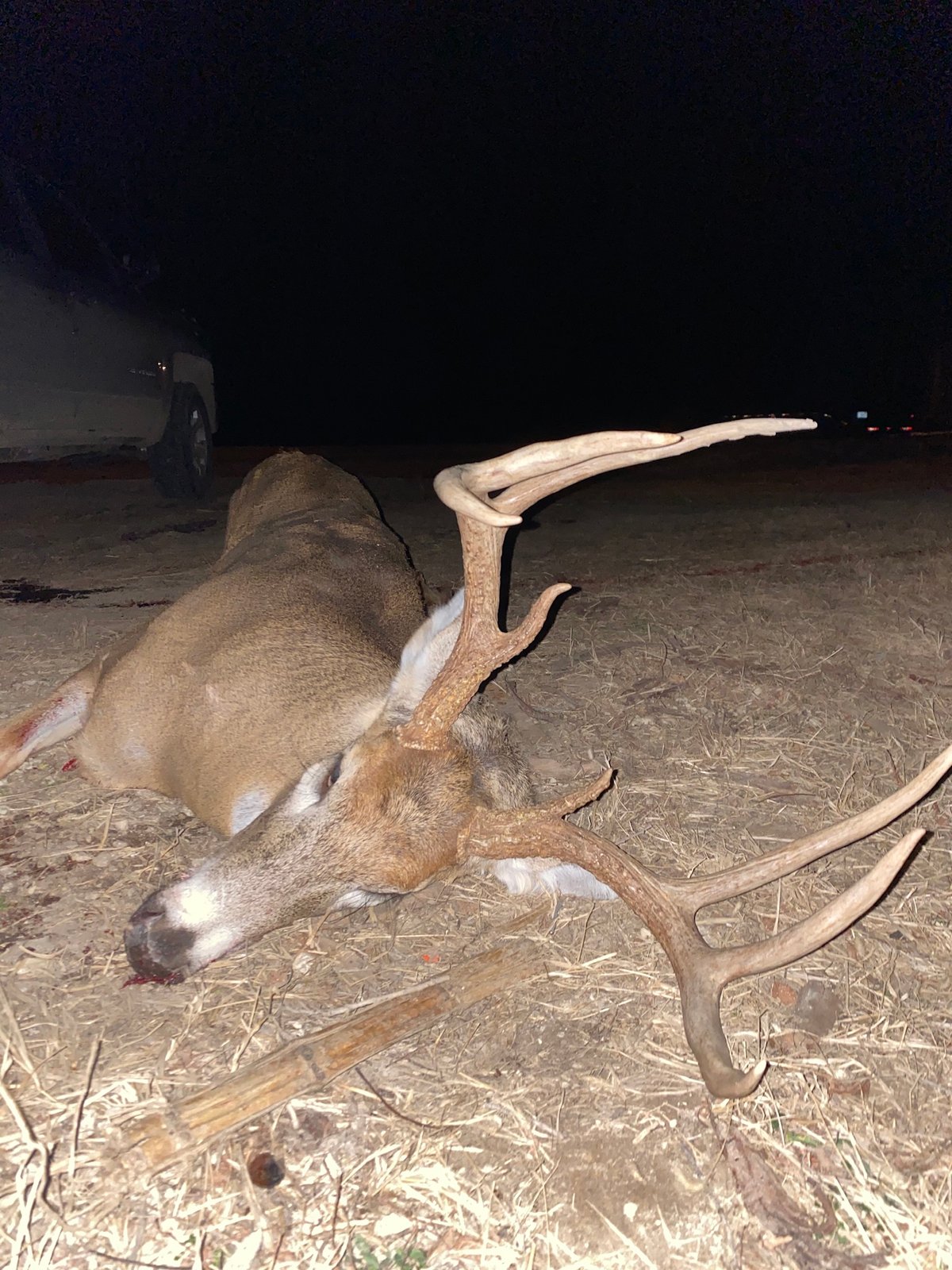 HLRBO Hunting Lease 165 acres in Linn County,Missouri