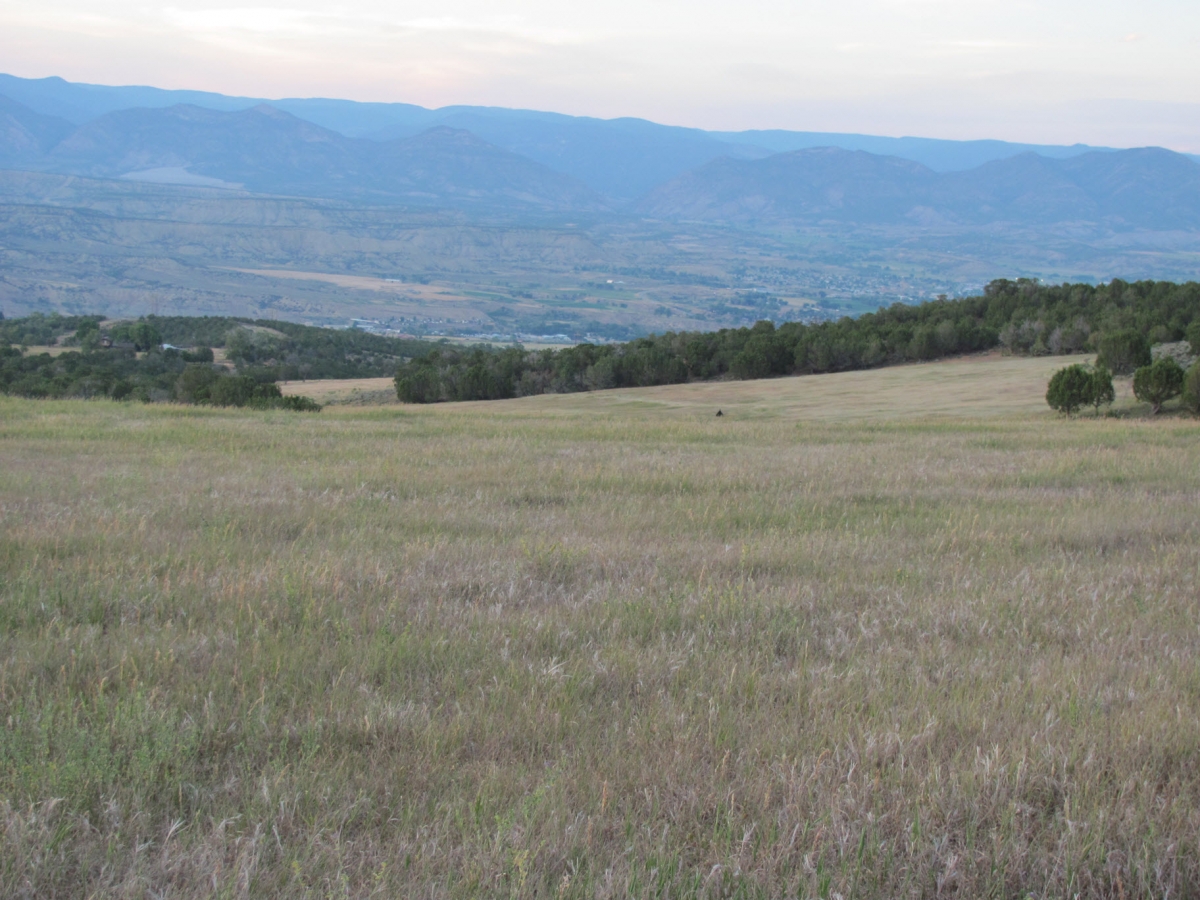 HLRBO Hunting Lease 1100 acres in Garfield County,Colorado