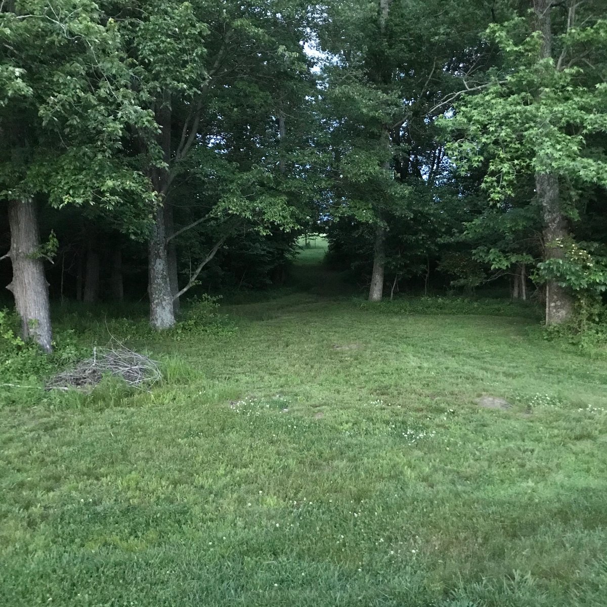 Kentucky Hunting Leases By Owner - m4a56h8
