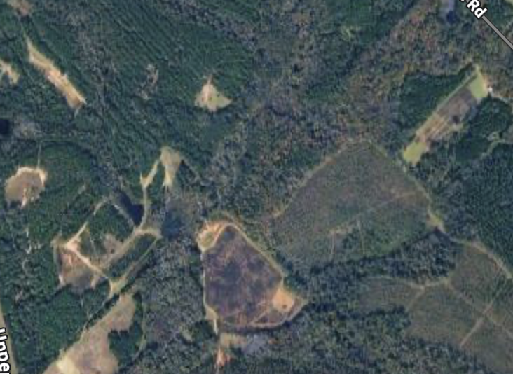 HLRBO Hunting Lease 100 acres - 31c41f9e A891 4bf9 8816 83647bac0ac9 