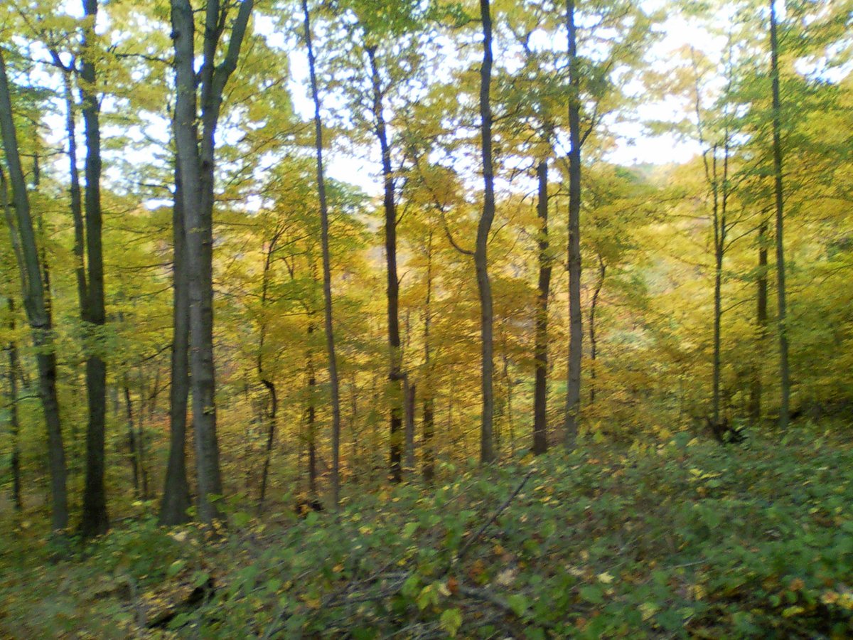 HLRBO Orange,Indiana Hunting Lease 0.00 Per Year