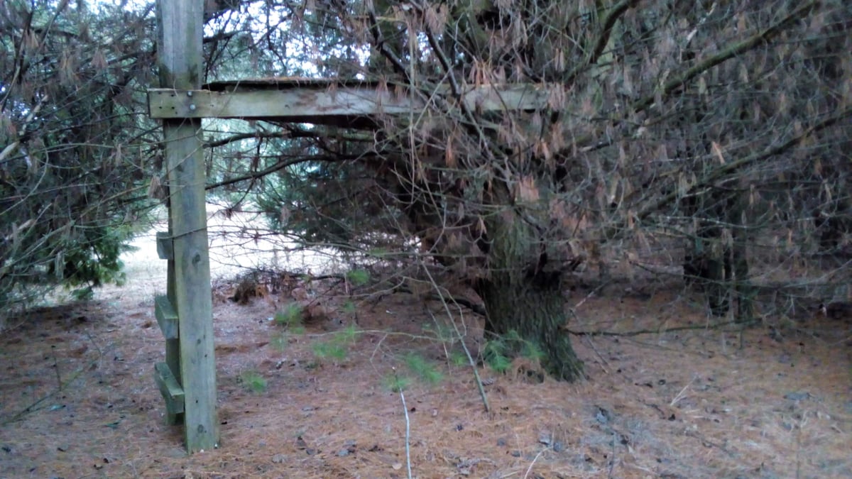 HLRBO Hunting Lease 21 acres in Shawano County,Wisconsin