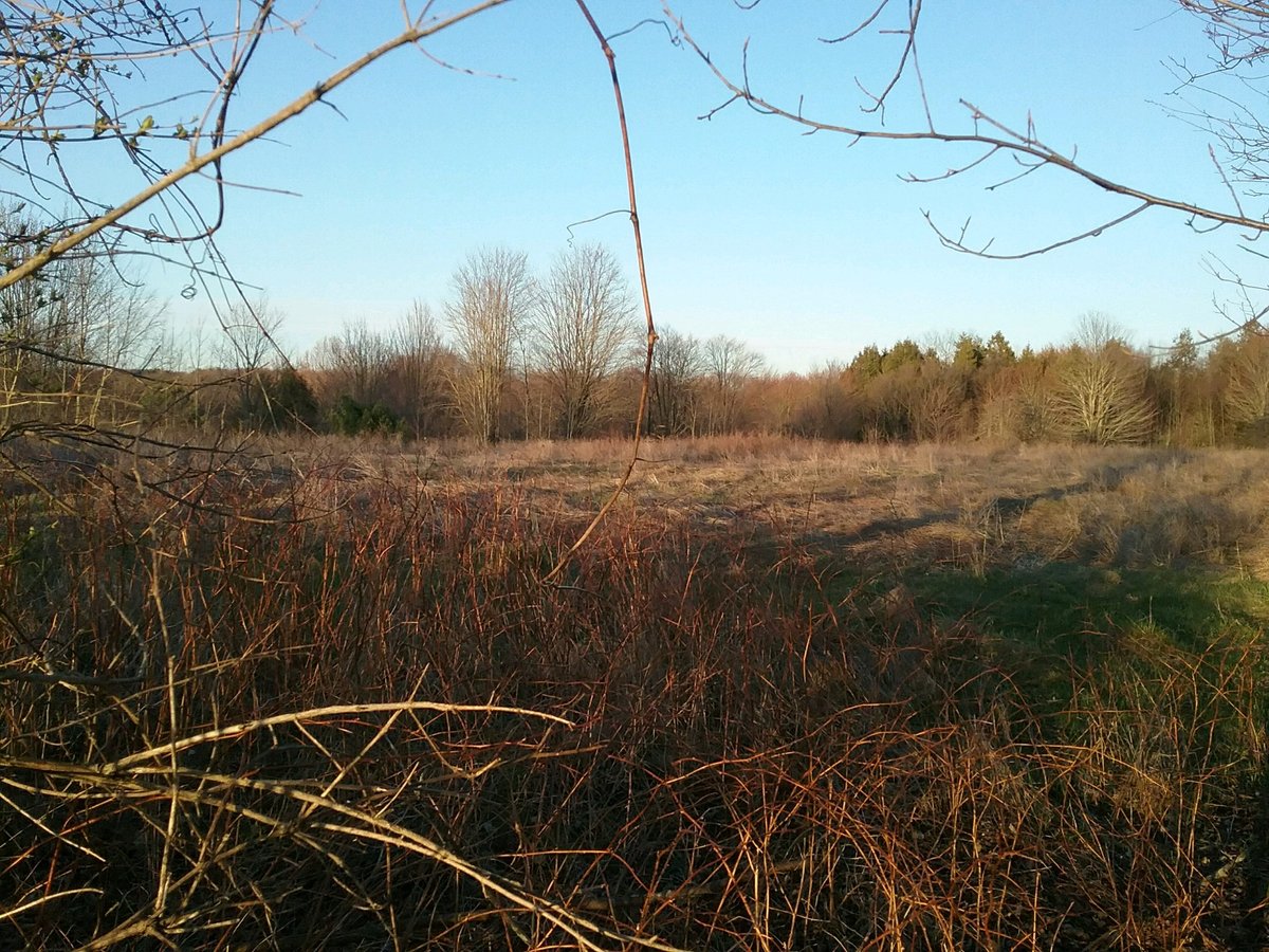 HLRBO Hunting Lease 310 acres in Steuben County,New York