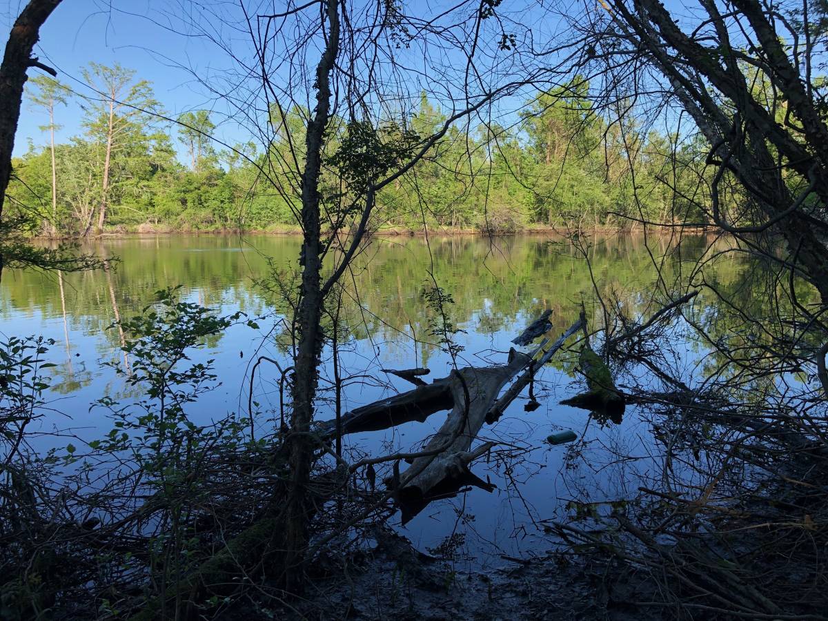 HLRBO Hunting Lease 2 acres in Pender County,North Carolina