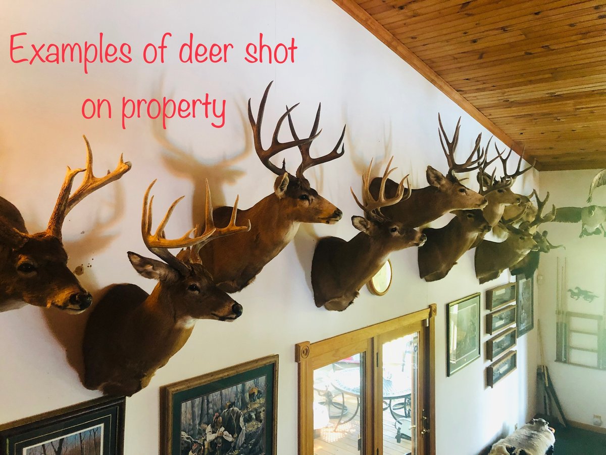 HLRBO Hunting Lease 3,000.00 Per Week