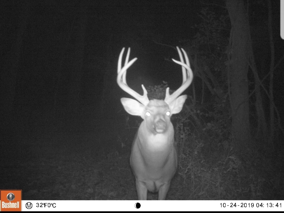 HLRBO Hunting Lease 60 acres in Iowa County,Iowa