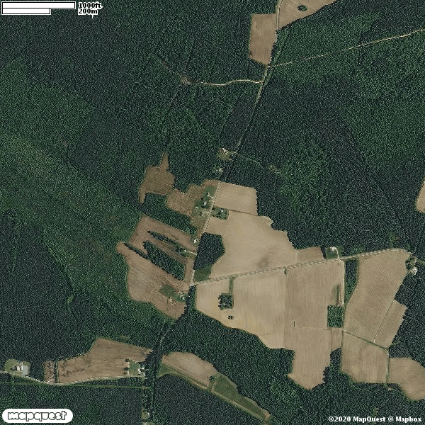 HLRBO Hunting Lease 30 acres in Northampton County,North Carolina