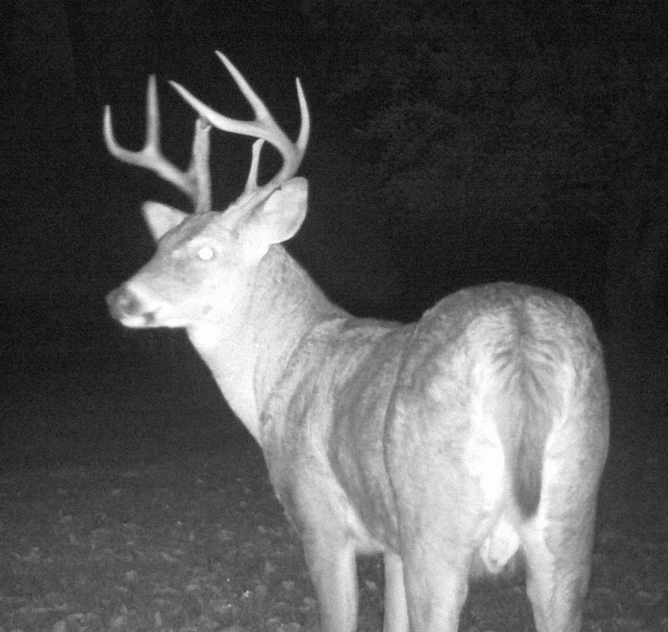 HLRBO Hunting Lease 70 acres in Dubuque County,Iowa