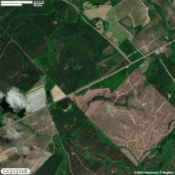 HLRBO Hunting Lease 140 acres in Telfair