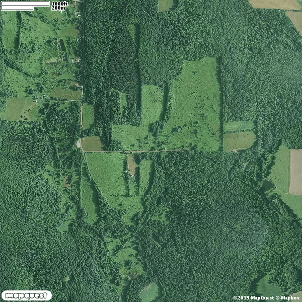 HLRBO Hunting Lease 138 acres in Tioga County,New York