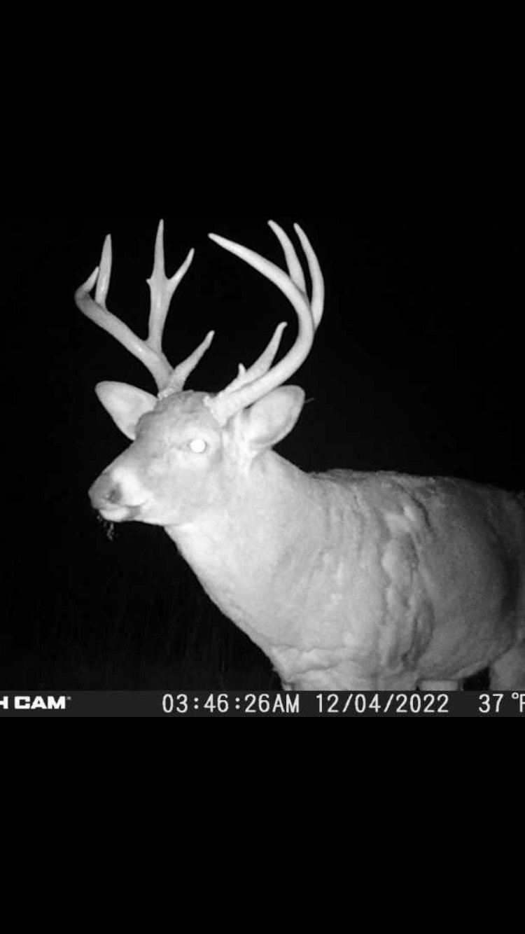 HLRBO Hunting Lease 95 acres in Jefferson County,Iowa