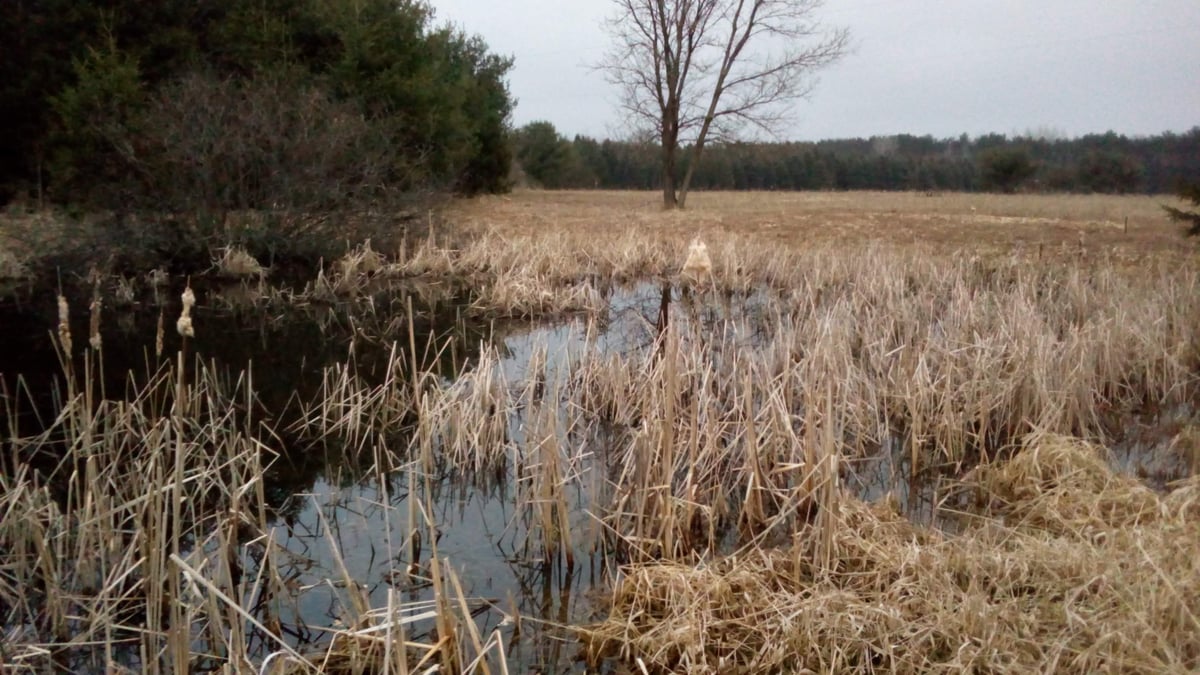 HLRBO Hunting Lease 21 acres in Shawano County,Wisconsin