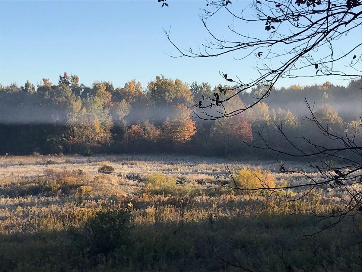 HLRBO Hunting Lease 410 acres in Hillsdale County,Michigan