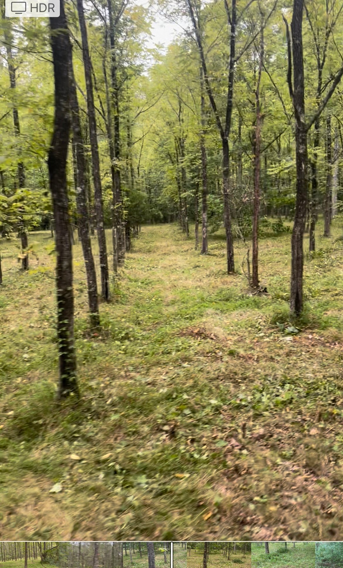 HLRBO Hunting Lease 52 acres in Metcalfe County,Kentucky
