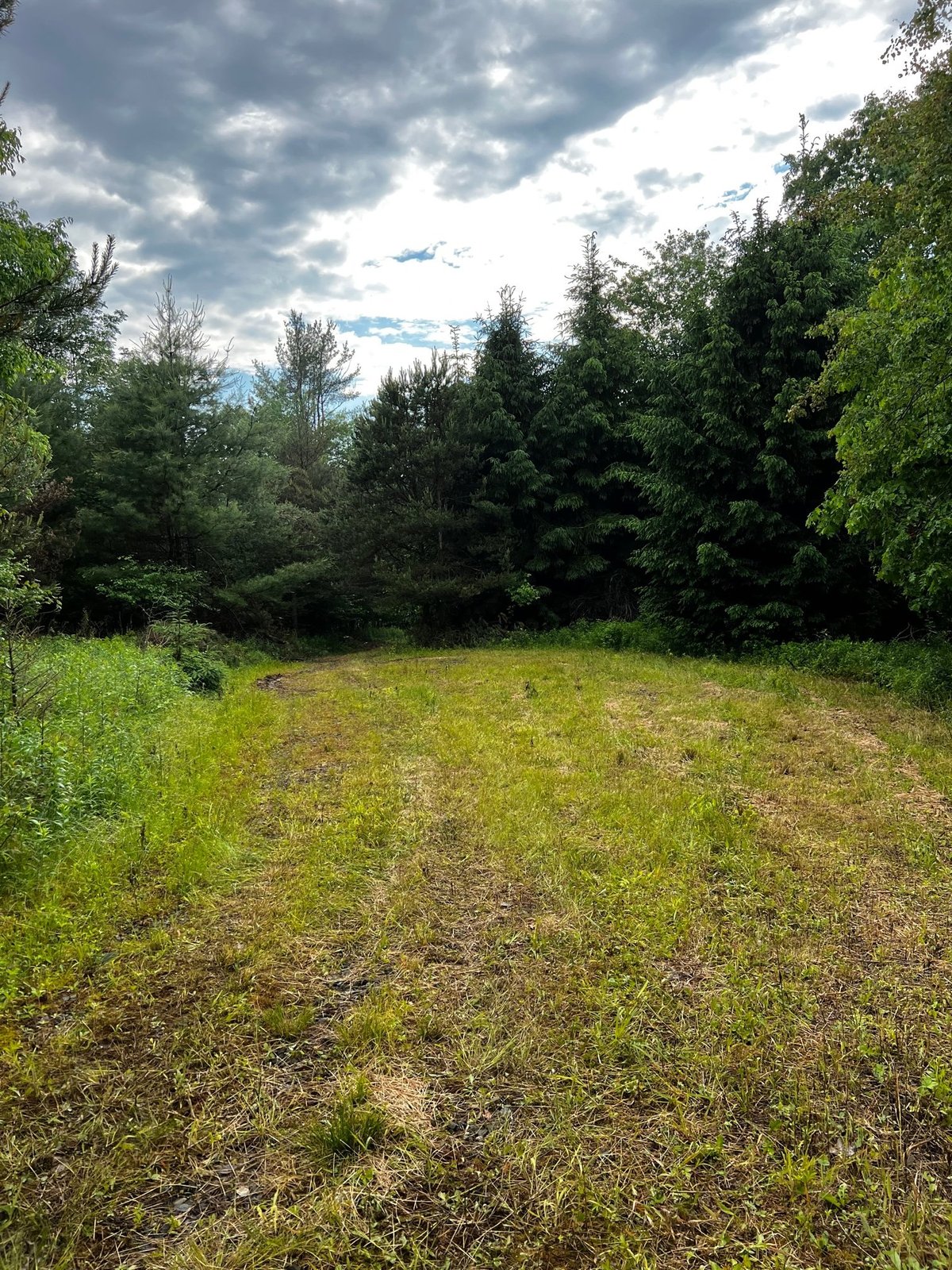 HLRBO Hunting Lease 130 acres in Allegany County,New York