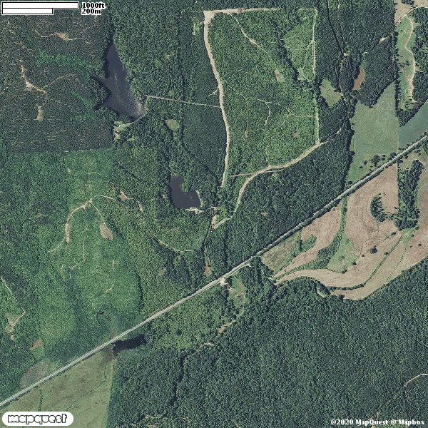 HLRBO Hunting Lease 850 acres in Randolph County,Alabama