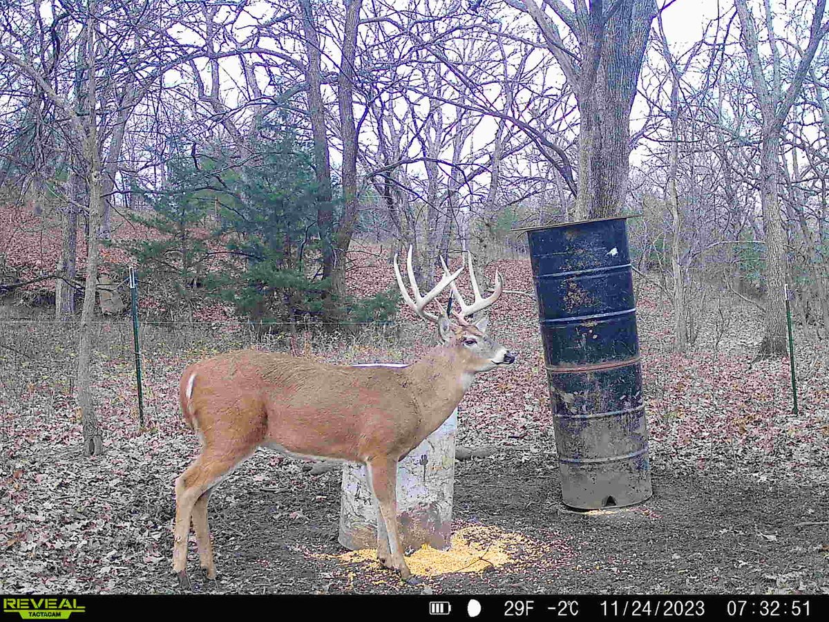 HLRBO Hunting Lease 10500 acres in Greenwood County,Kansas