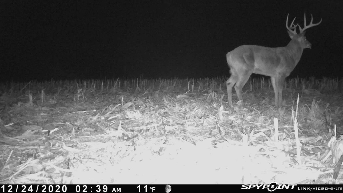 HLRBO Hunting Lease 107 acres in Lee County,Iowa