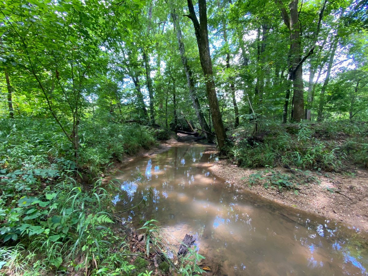 HLRBO Hunting Lease 4200 acres in Lee County,Alabama