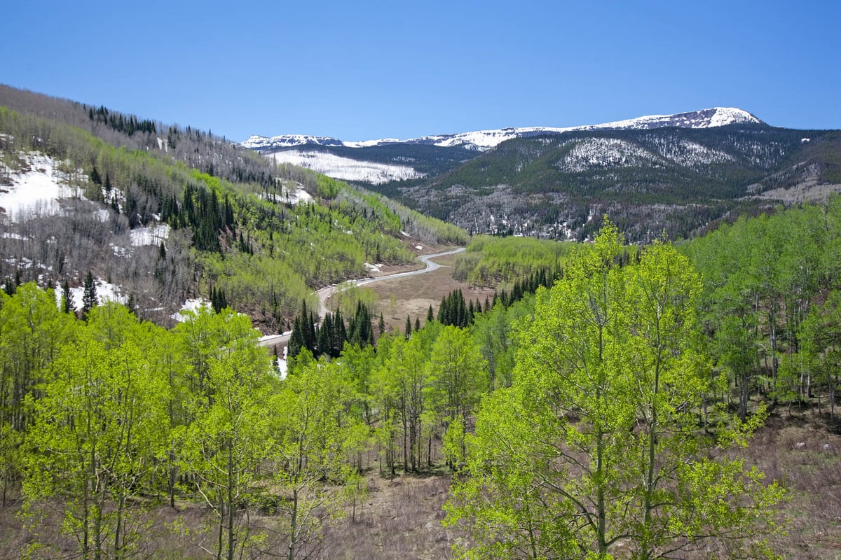 HLRBO Hunting Lease 100 acres in Routt County,Colorado