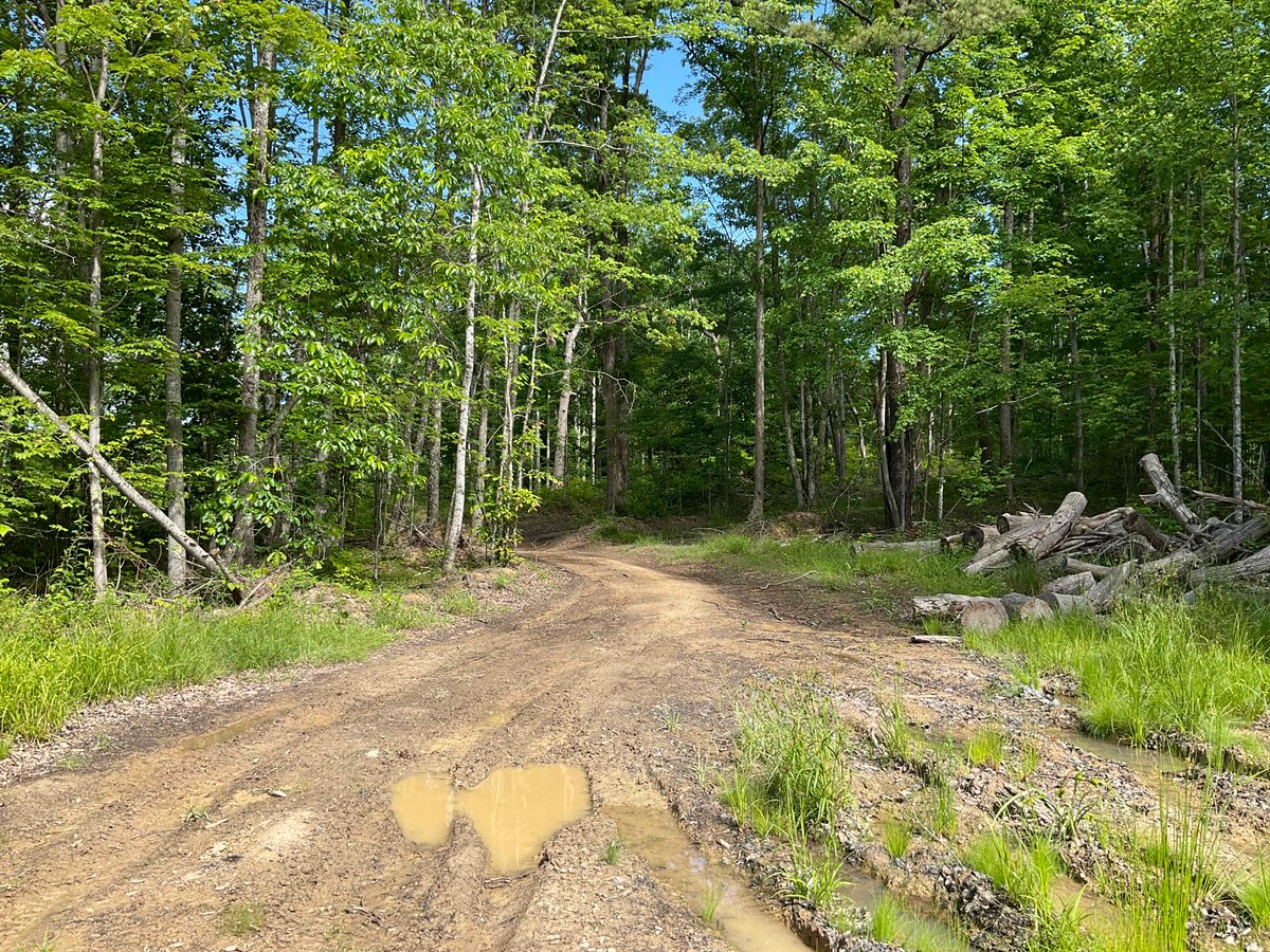 HLRBO Barbour,West Virginia Hunting Lease 0.00 Per Year