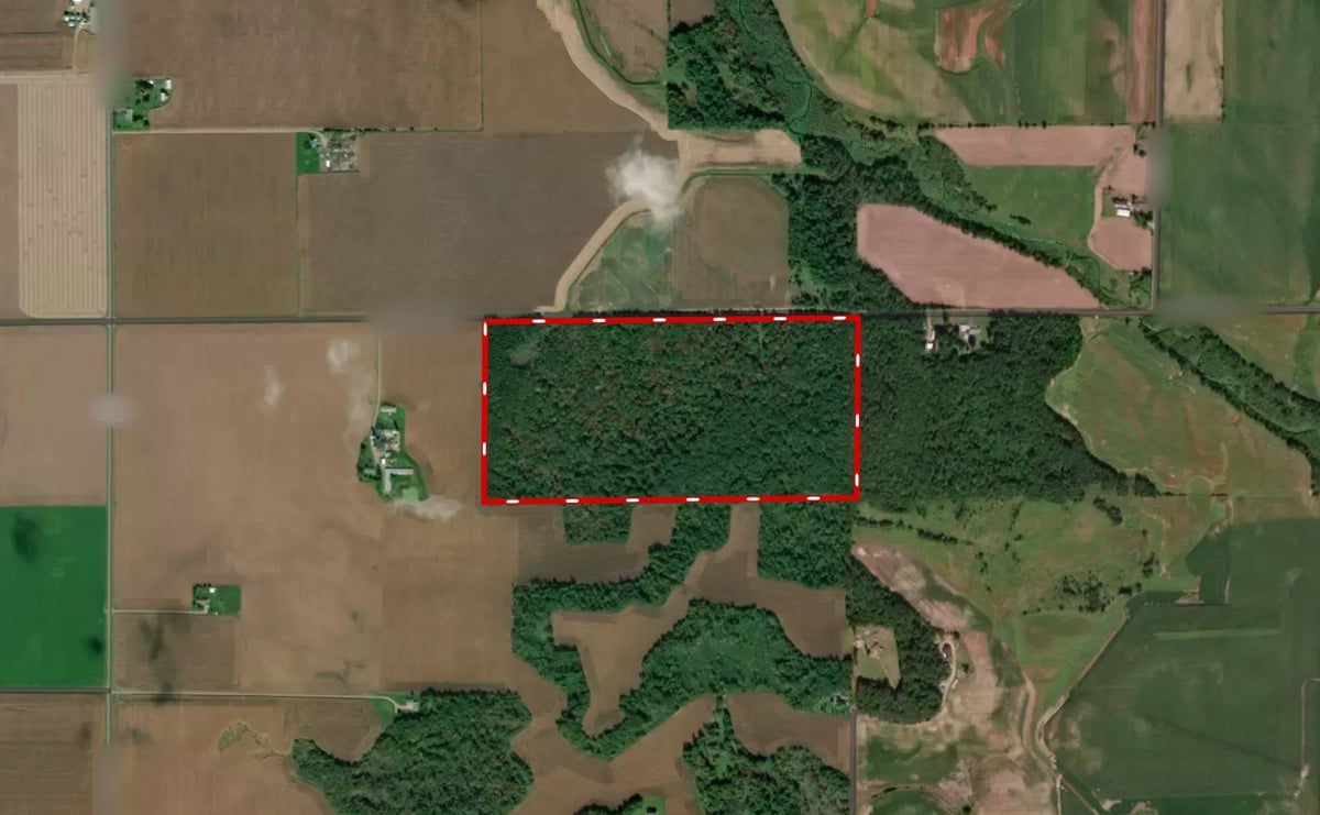 HLRBO Hunting Lease 80 acres in Chippewa County,Wisconsin