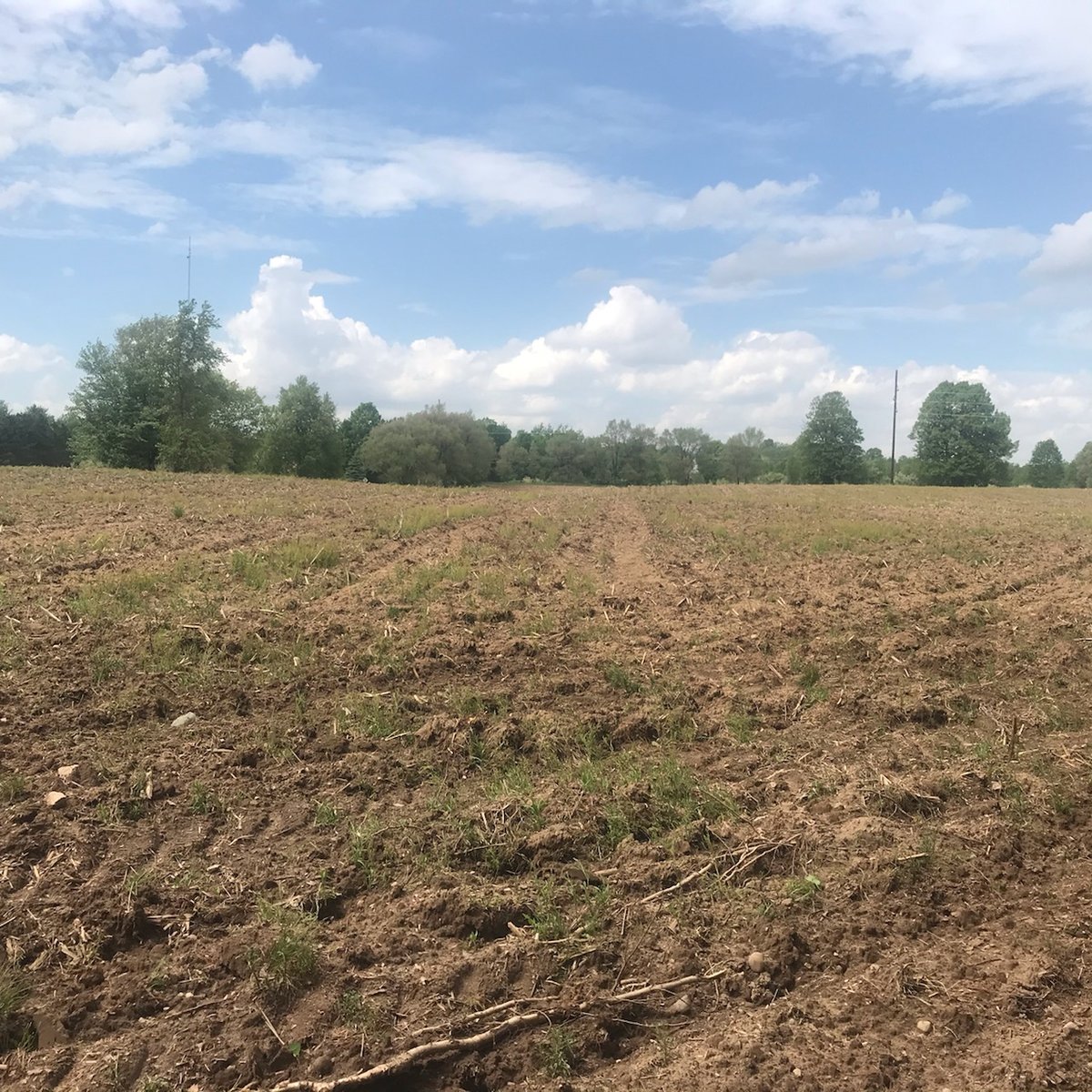 HLRBO Hunting Lease 33 acres in Mecosta County,Michigan