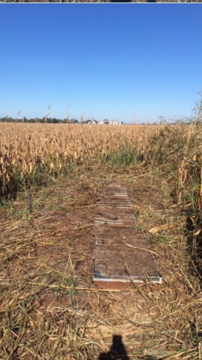 HLRBO Union,Illinois Hunting Lease 9,000.00 Per Year
