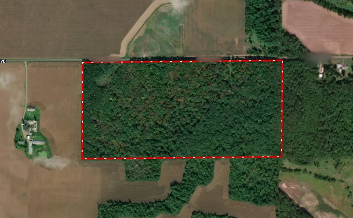HLRBO Hunting Lease 80 acres in Chippewa County,Wisconsin