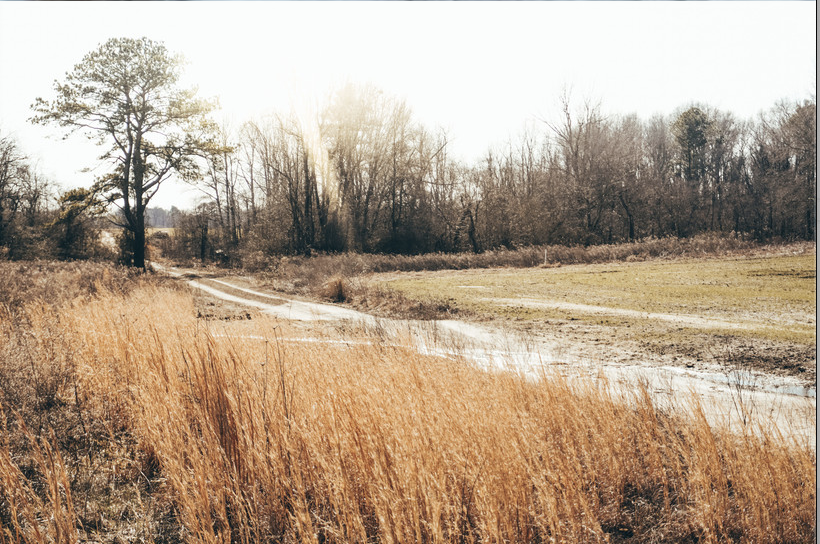HLRBO Hunting Lease 2300 acres in Halifax County,North Carolina
