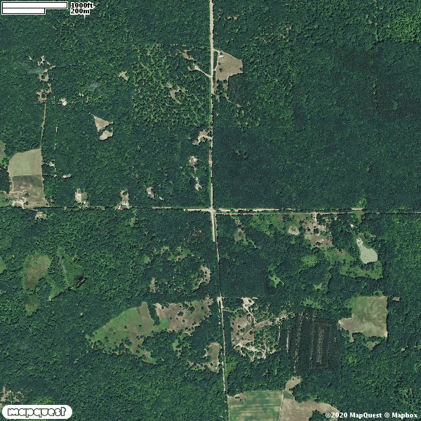 HLRBO Hunting Lease 40 acres in Mecosta County,Michigan