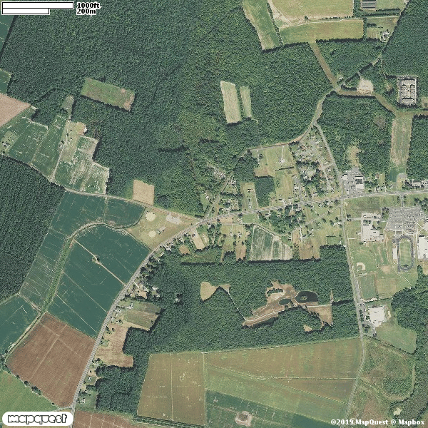 HLRBO Hunting Lease 100 acres in Dorchester County,Maryland