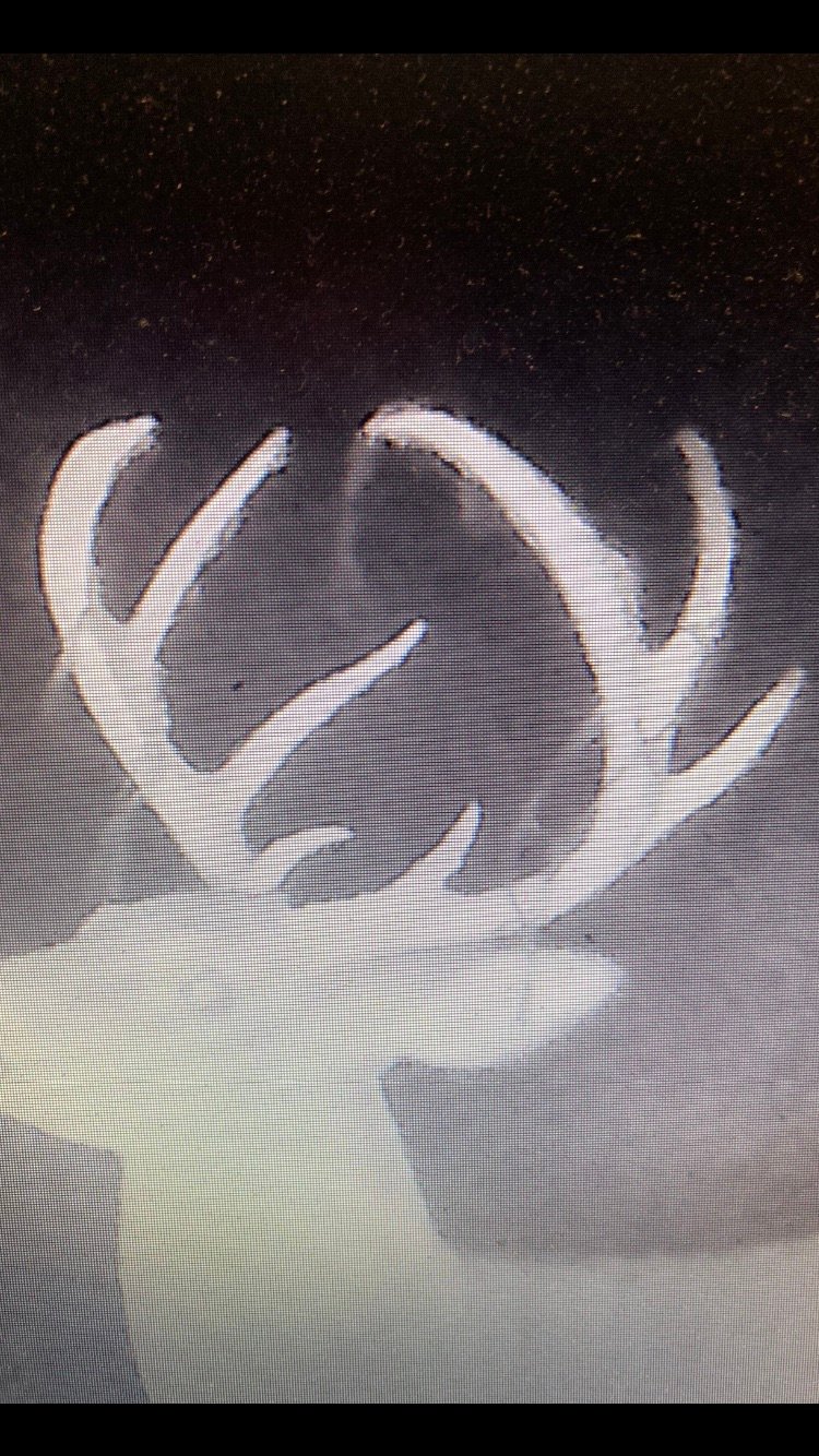 HLRBO Hunting Lease 120 acres in Chesterfield County,South Carolina