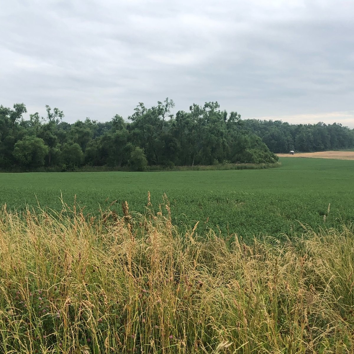 HLRBO Hunting Lease 15 acres in Williams County,Ohio