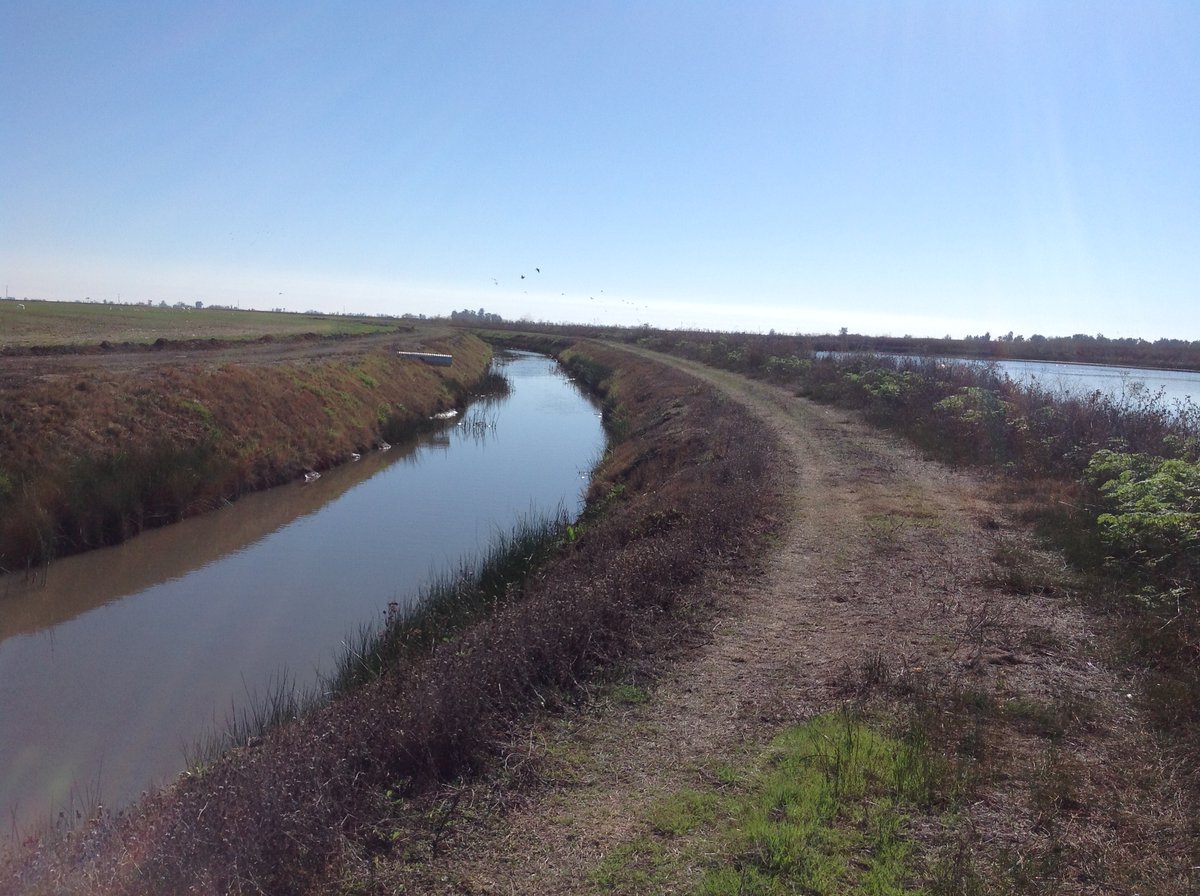 HLRBO Hunting Lease 220 acres in Merced County,California