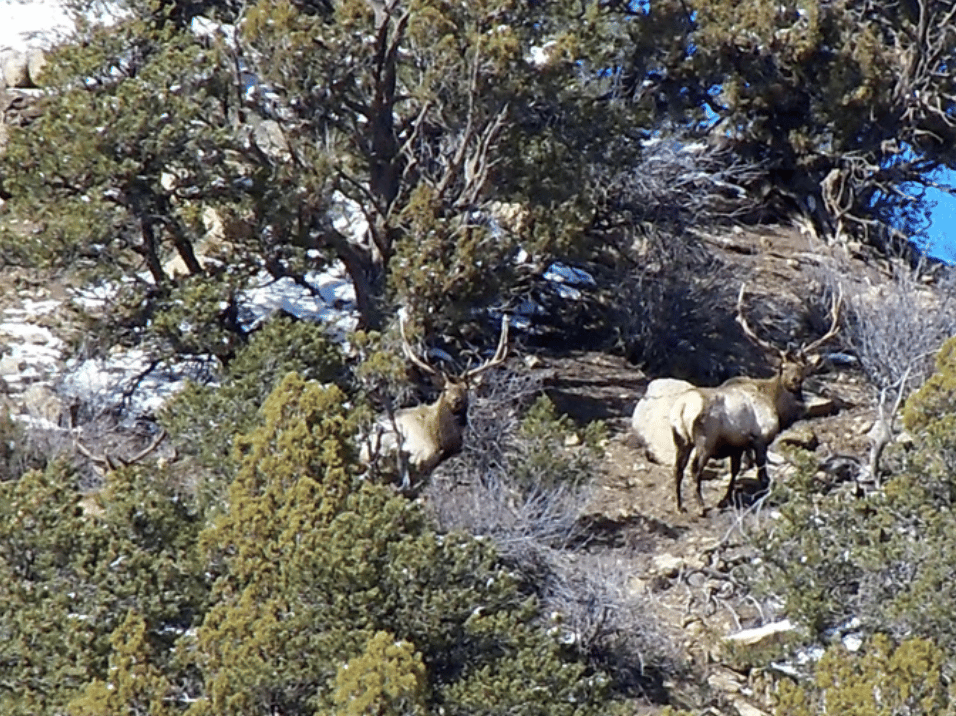 HLRBO Hunting Lease 1000 acres in Routt County,Colorado