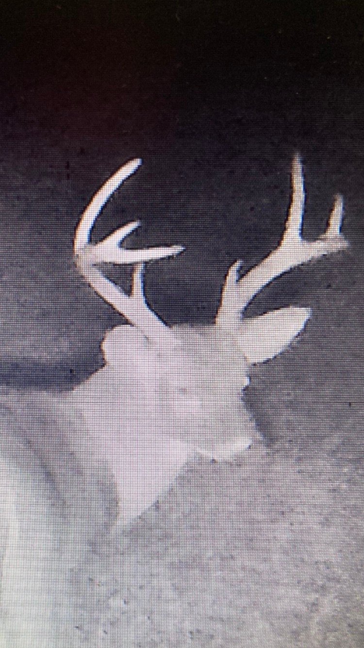 HLRBO Hunting Lease 120 acres in Chesterfield County,South Carolina